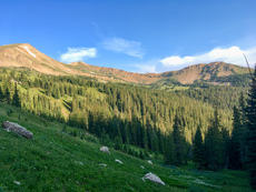 Butler Gulch, James Peak Wilderness, Colorado. August, 2017.