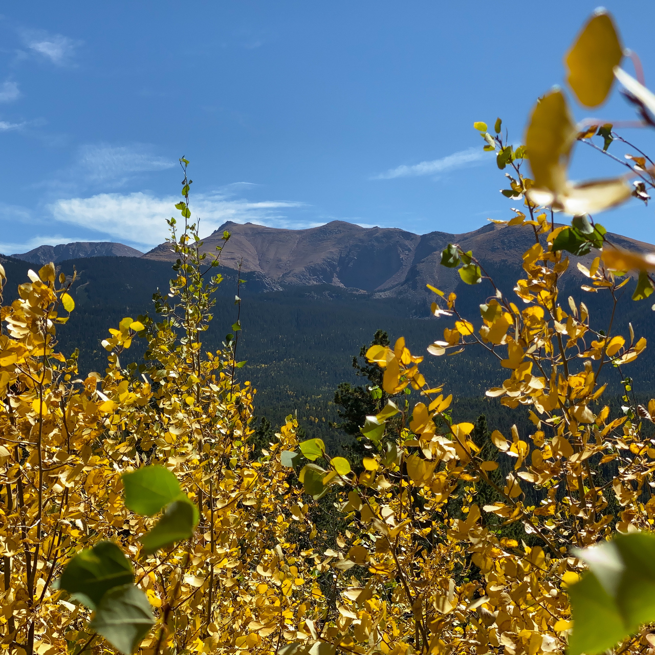 2019 - Catamount Trails near Pikes Peak, Colorado. October, 2019.
