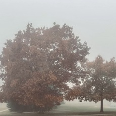 Colorado Springs, Colorado. October, 2021.