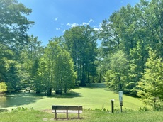 Wapanocca National Wildlife Refuge, Arkansas. July, 2023.