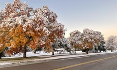 Colorado Springs, Colorado. October, 2024.