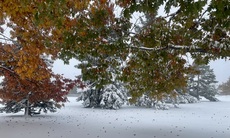 Colorado Springs, Colorado. November, 2024.