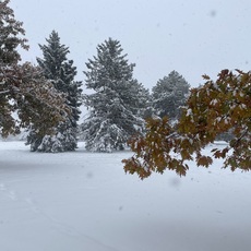 Colorado Springs, Colorado. November, 2024.