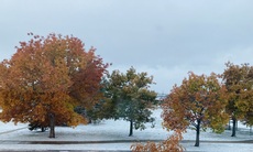 Colorado Springs, Colorado. November, 2024.